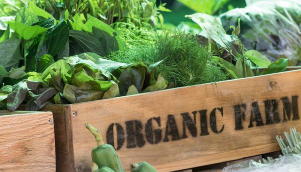Blog Why Organic02