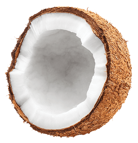 Coconut 01