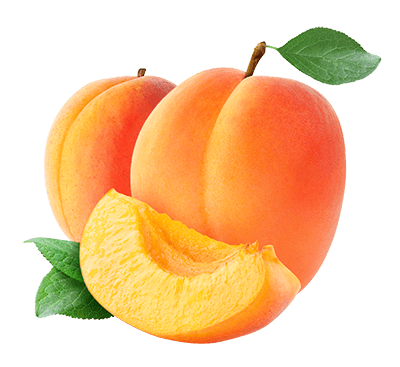 Apricots Group