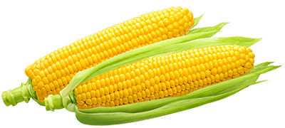 Corn Group Rhs